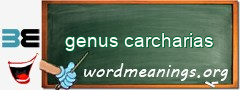 WordMeaning blackboard for genus carcharias